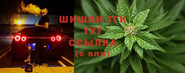 стафф Богородицк