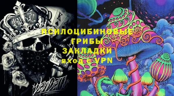 стафф Богородицк