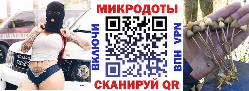 купить закладку  Невель  Галлюциногенные грибы мухоморы 